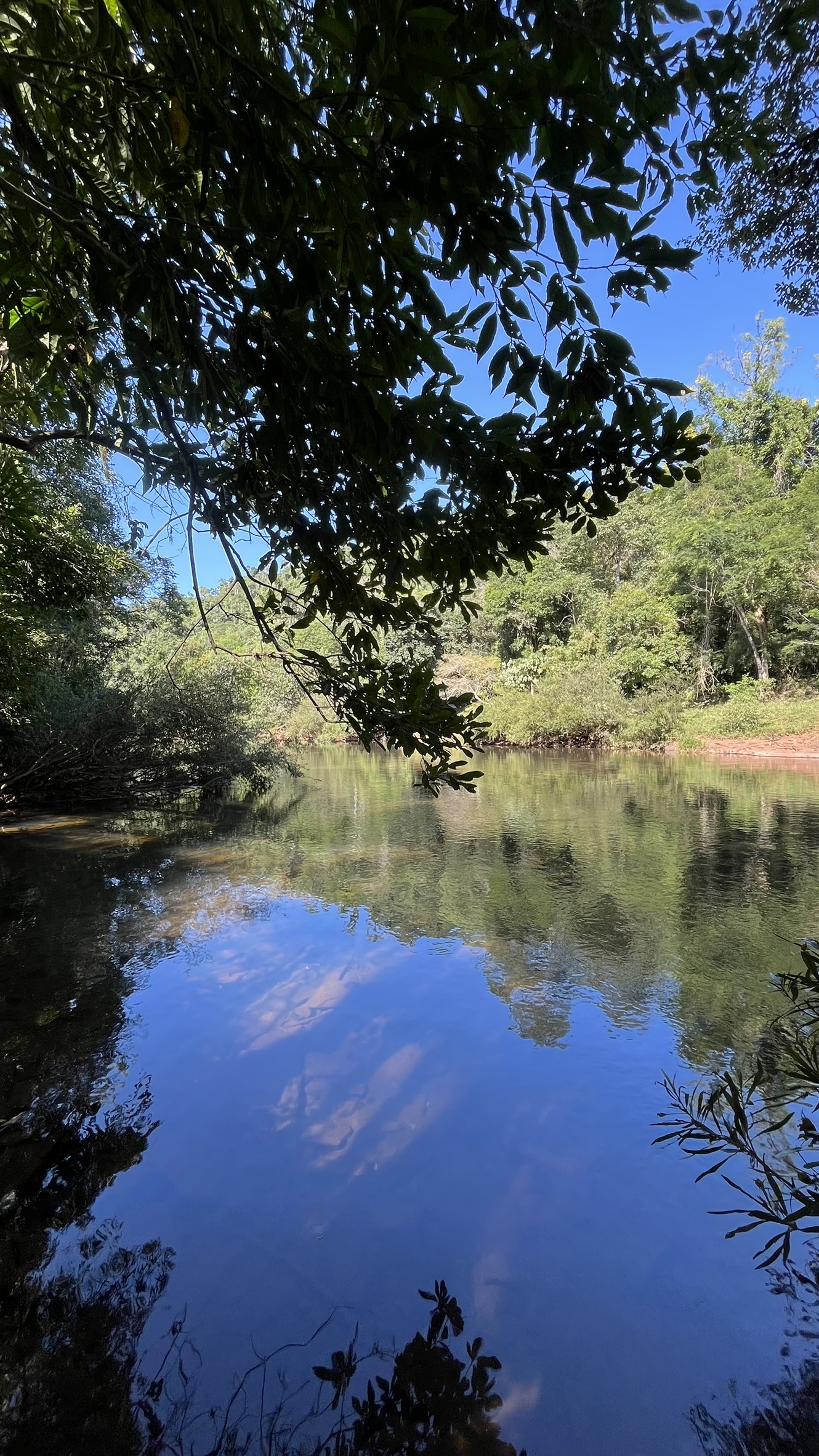 Chacra en venta de 66 hectáreas  en El Soberbio, Misiones