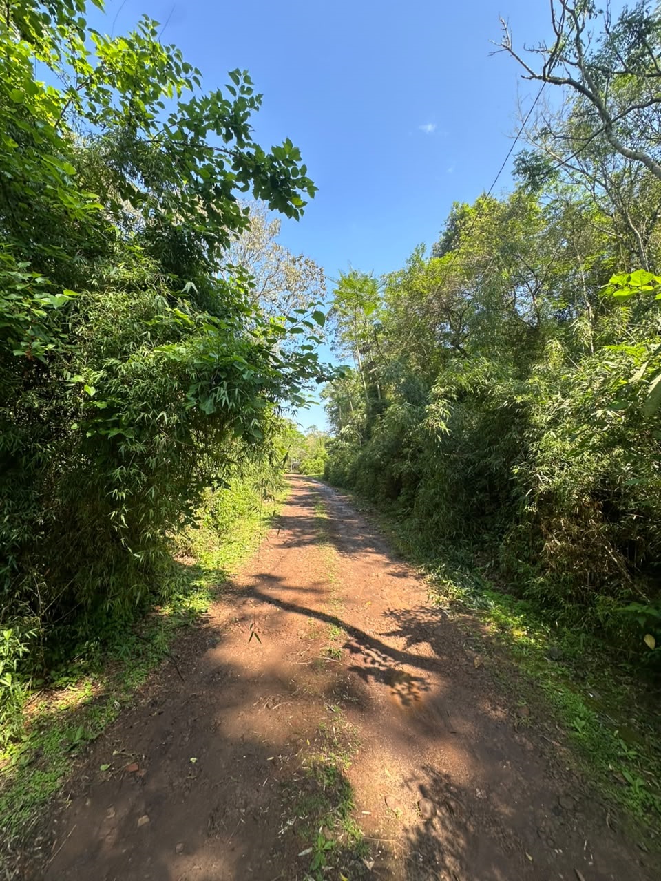 Terreno en venta en Eldorado,Misiones