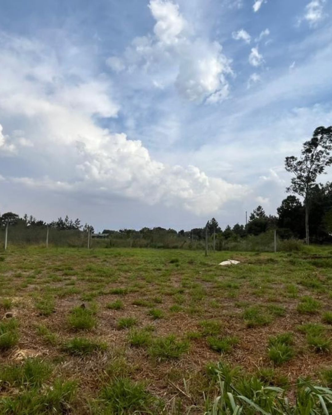 Terreno EN VENTA en Candelaria en Candelaria, Misiones