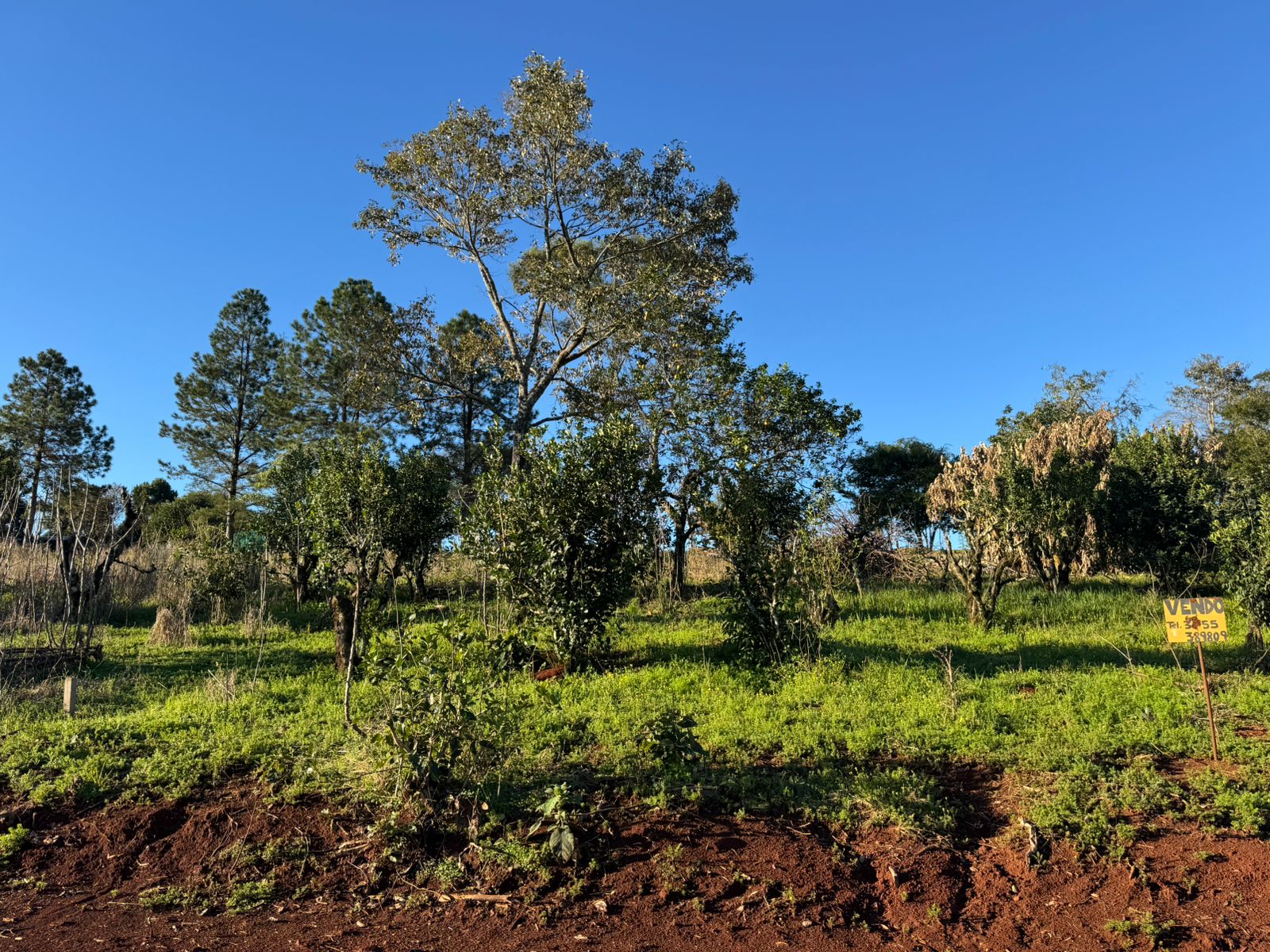 Terreno en Venta  en San Vicente, Misiones