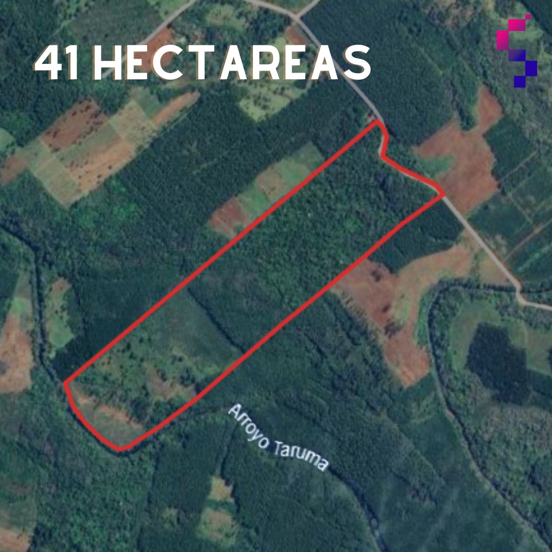 Chacra en venta de 41 hectáreas  en Caraguatay - Misiones