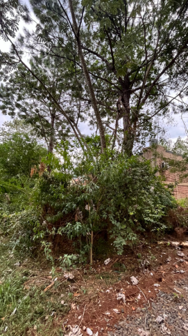 Lote en venta en Candelaria, Misiones