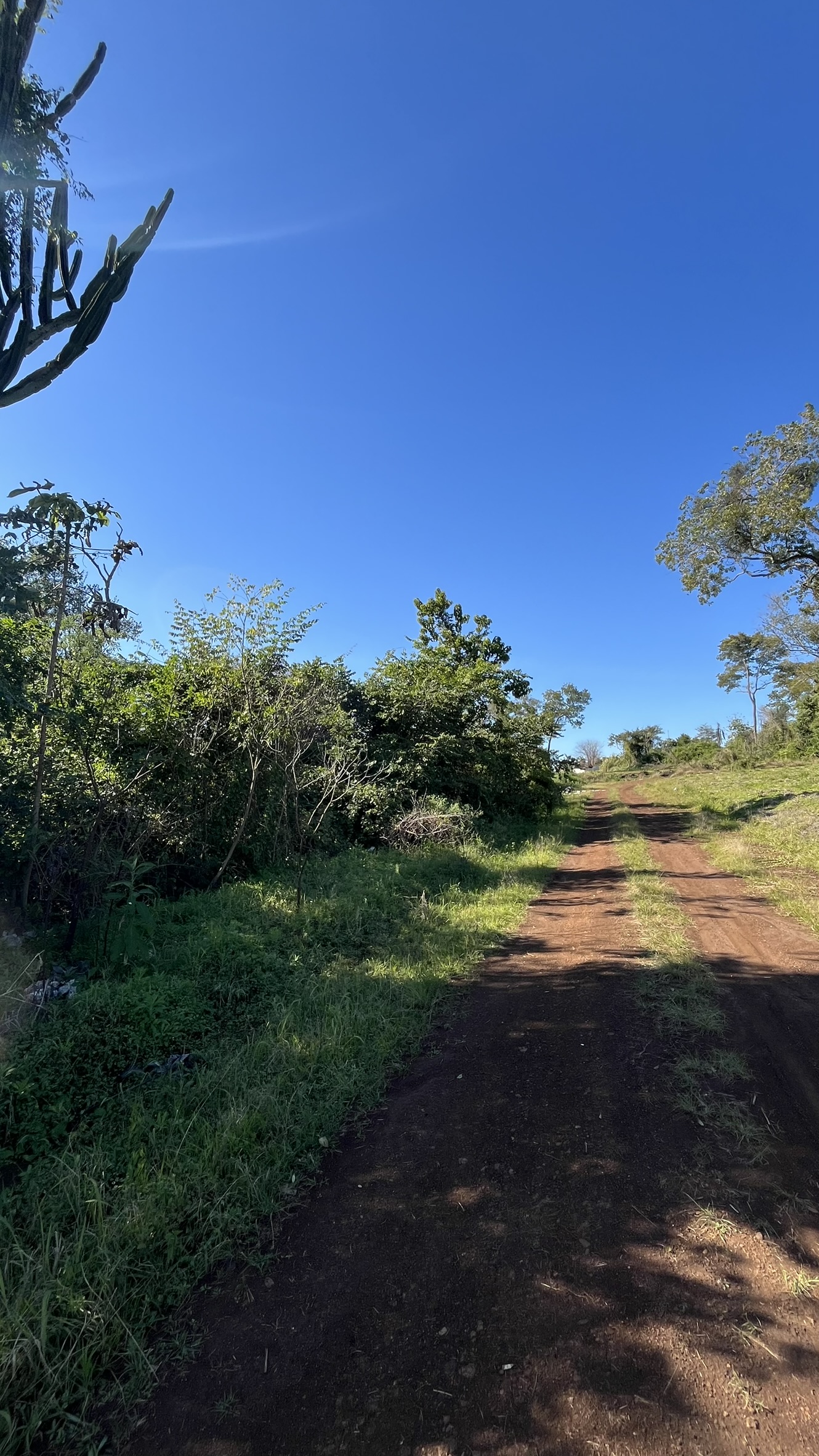 Lote en venta  en Garupa, Misiones